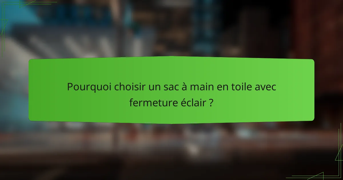 Pourquoi choisir un sac à main en toile avec fermeture éclair ?
