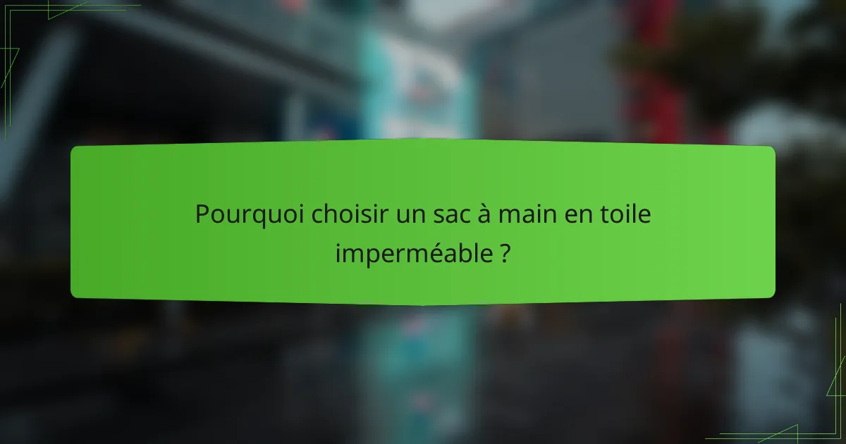 Pourquoi choisir un sac à main en toile imperméable ?
