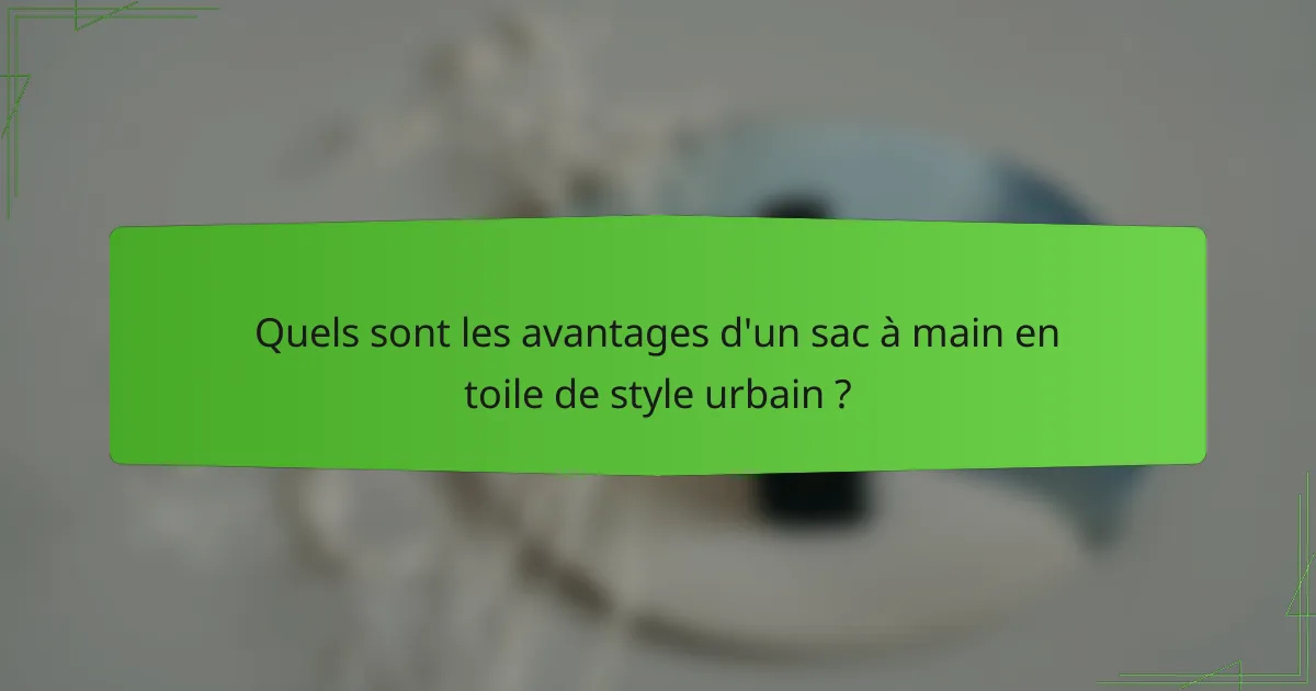 Quels sont les avantages d'un sac à main en toile de style urbain ?